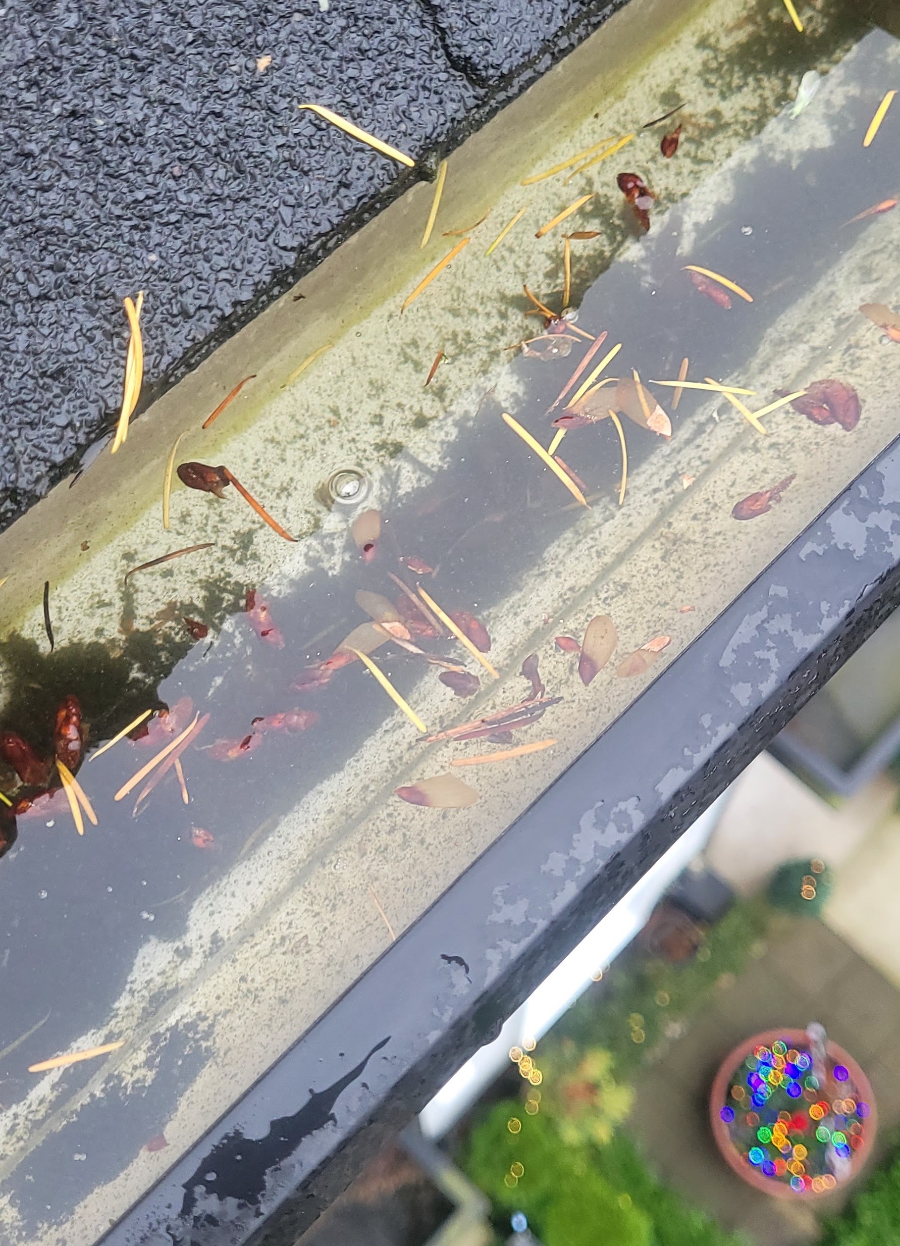 gutter cleaning